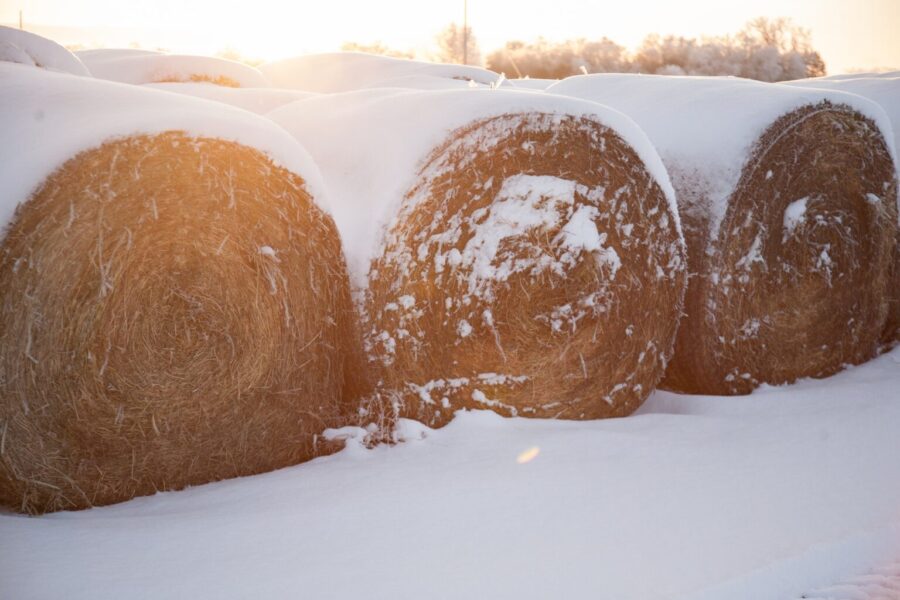 gamtą tausojantis ūkininkavimas žiemą