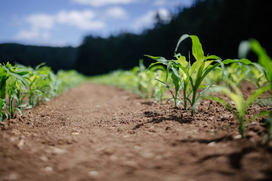 tvarus ūkininkavimas aplinkai draugiškos trąšos